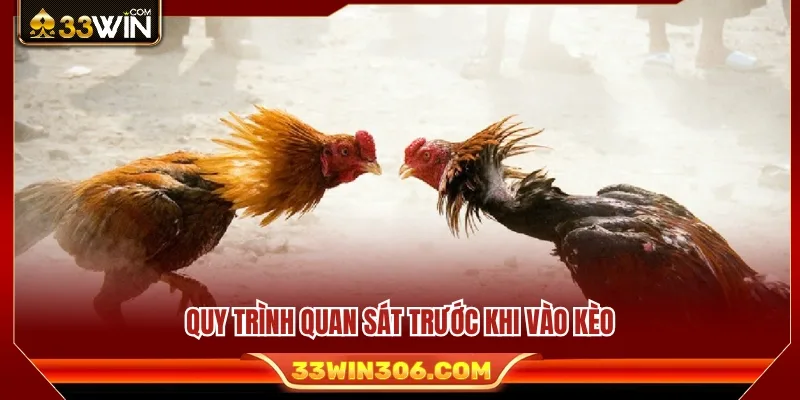 Quy trình phân tích thông tin trước khi quyết định vào kèo 